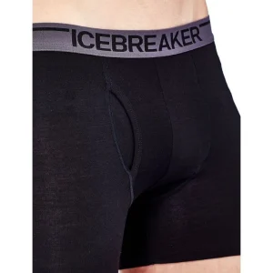 Promo 🔥 Icebreaker Anatomica Boxers – Boxer homme 😀 site officiel 15