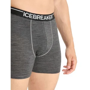 Promo 🔥 Icebreaker Anatomica Boxers – Boxer homme 😀 site officiel 31