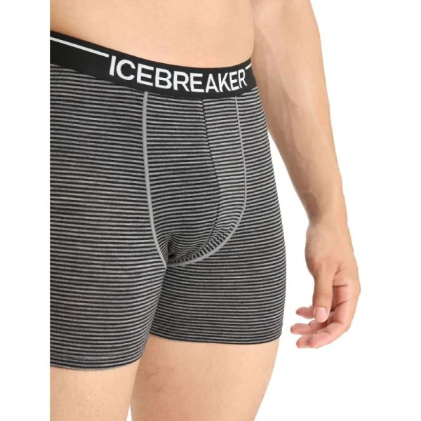 Promo 🔥 Icebreaker Anatomica Boxers – Boxer homme 😀 site officiel 11