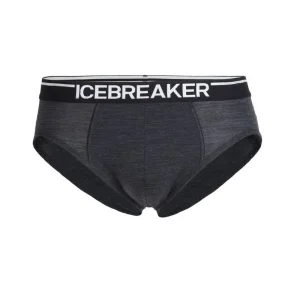 Nouveau 🎁 Icebreaker Anatomica Briefs – Slip homme 🛒 guranteed de qualité 15