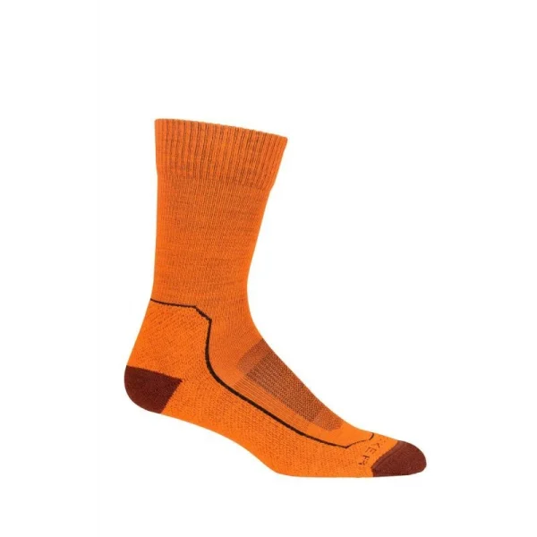 prix abordable Top 10 ❤️ Icebreaker Anatomica Hike Light Crew – Chaussettes en laine mérinos femme I Hardloop 🌟 6